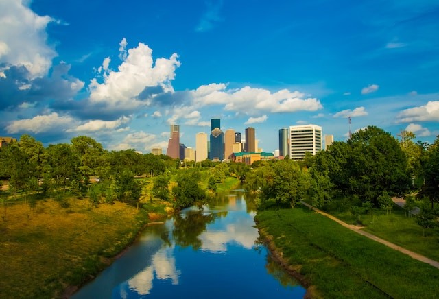 green trees near a body of water under a blue sky during the daytime in houston texas